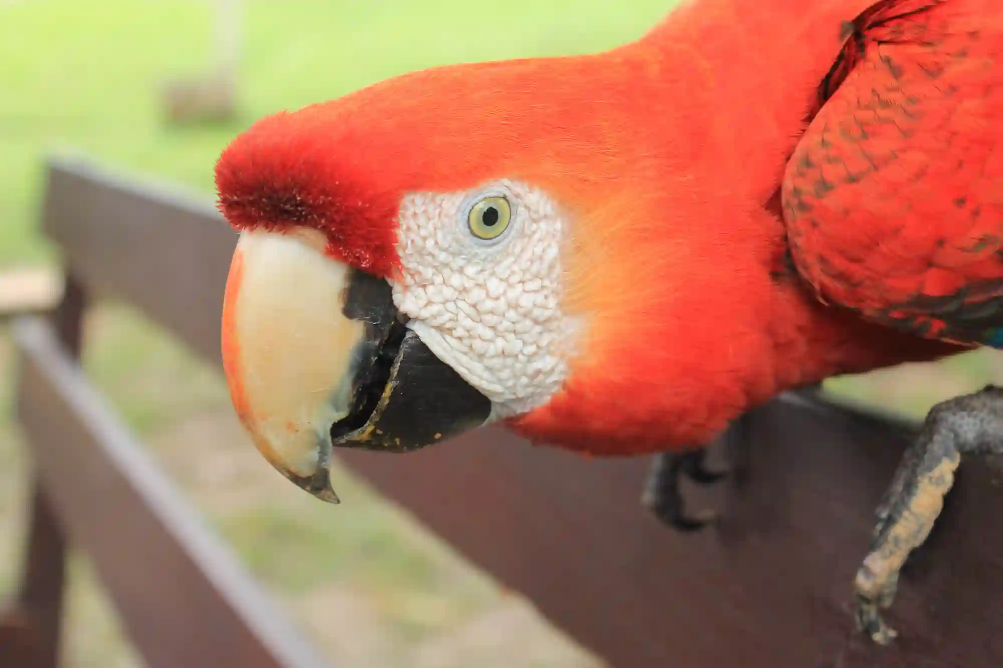 Tours en la Selva Peru