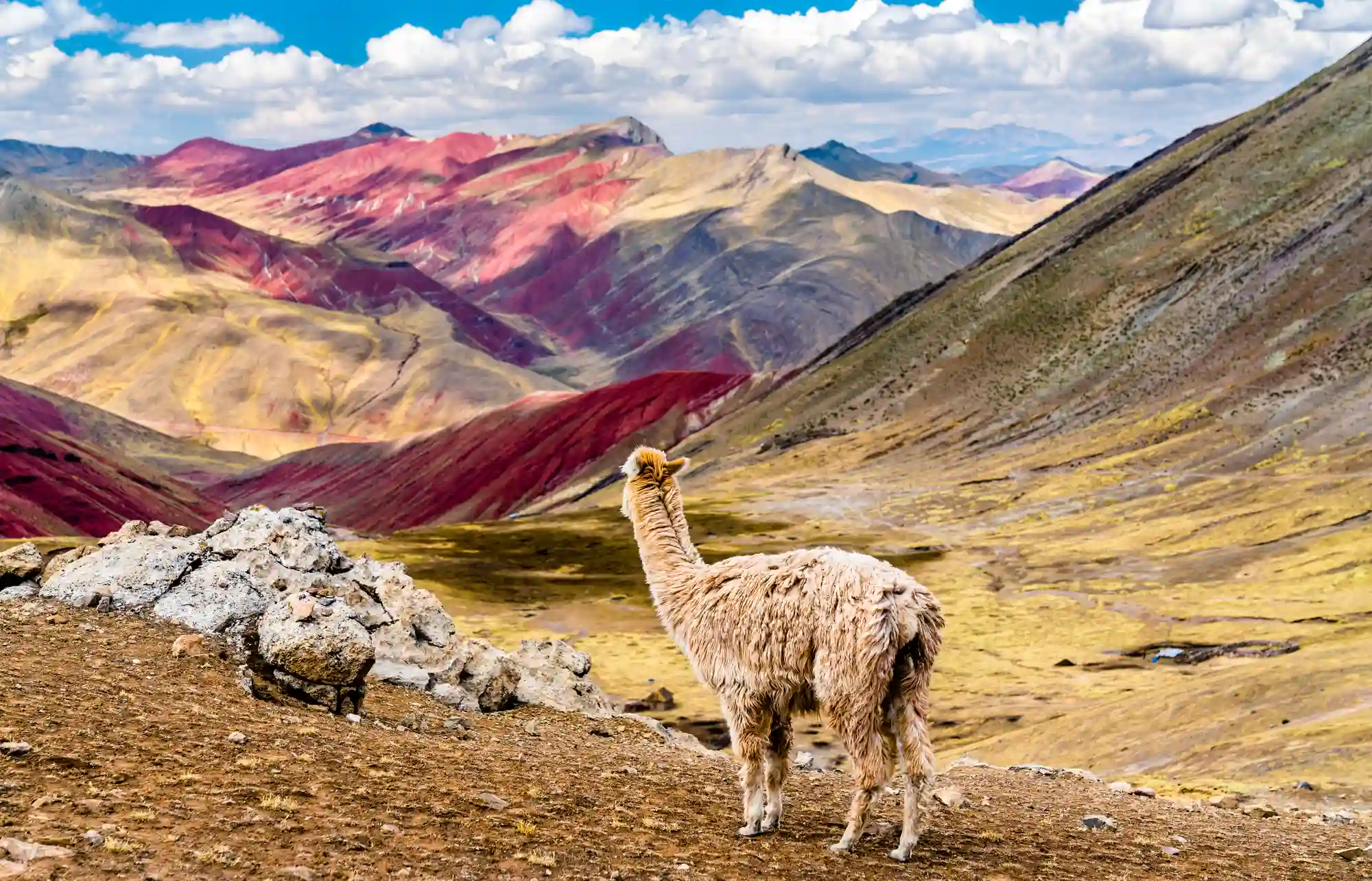 Excursión de un día a la Montaña Arcoíris de Palcoyo